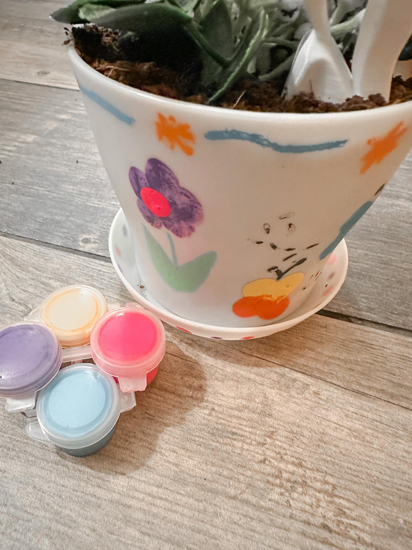 Mother's Day Paint Your Own Pot Kits