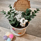 Mother's Day Paint Your Own Pot Kits