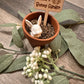 DIY Bunny Garden Kits